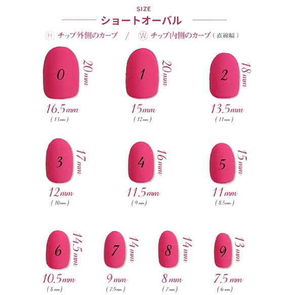 計測用ネイルチップ 3枚目の画像