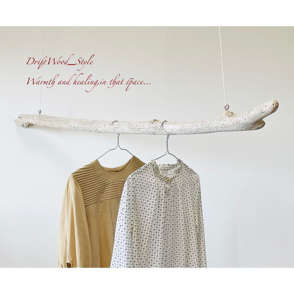 流木インテリア 無骨で古木風の超大型流木のハンガーラック 北欧 衣装