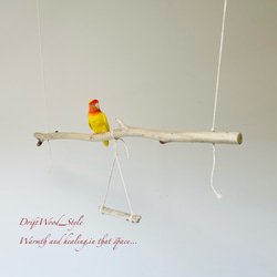 流木インテリア  シンプルな天然流木の小鳥の止まり木 吊り下げタイプ インコ 鳥 ブランコ 自然木 No.5 1枚目の画像