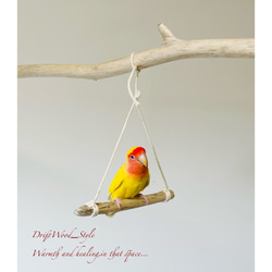 流木インテリア  シンプルな天然流木の小鳥の止まり木 吊り下げタイプ インコ 鳥 ブランコ 自然木 No.5 3枚目の画像