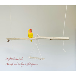 流木インテリア  シンプルな天然流木の小鳥の止まり木 吊り下げタイプ インコ 鳥 ブランコ 自然木 No.5 4枚目の画像