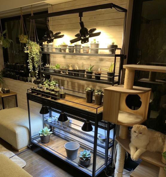 BOTANAIZ SHELF　植物棚 Ntype　 w1200mm ※受注製作 4枚目の画像