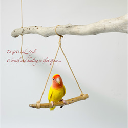 流木インテリア  シンプルな天然流木の小鳥の止まり木 吊り下げタイプ インコ 鳥 ブランコ 自然木 No.6 5枚目の画像
