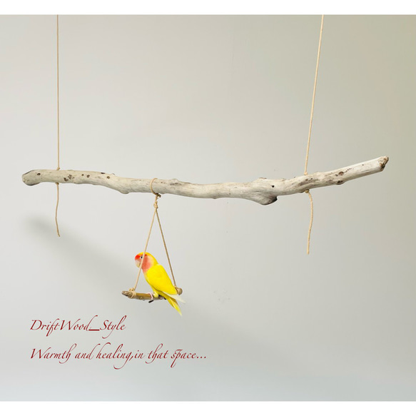 流木インテリア  シンプルな天然流木の小鳥の止まり木 吊り下げタイプ インコ 鳥 ブランコ 自然木 No.6 2枚目の画像