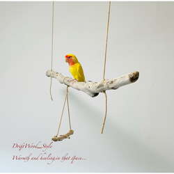 流木インテリア  シンプルな天然流木の小鳥の止まり木 吊り下げタイプ インコ 鳥 ブランコ 自然木 No.6 3枚目の画像