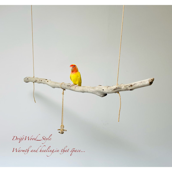 流木インテリア  シンプルな天然流木の小鳥の止まり木 吊り下げタイプ インコ 鳥 ブランコ 自然木 No.6 4枚目の画像