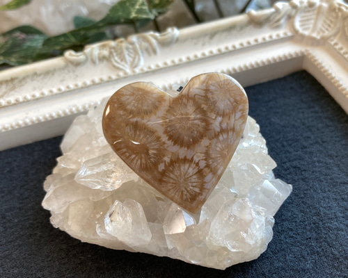 よしみ様 高品質 フォッシルコーラル 珊瑚 ハート 握り石 フォシル