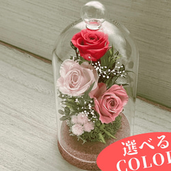誕生日プレゼント プリザーブドフラワー ガラスドーム アレンジメント 結婚祝い 花 ギフト 女性 母●コルクドームM 1枚目の画像