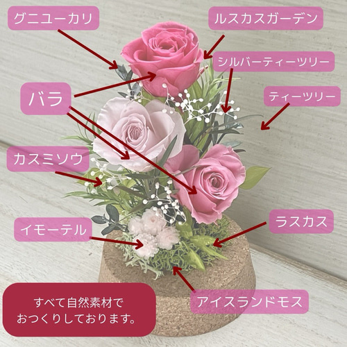 プリザーブドフラワー ベアピンクドーム☆ フラワーアレンジメント プリザーブドフラワー ガラスドーム アレンジメント 母の日ギフト2026
