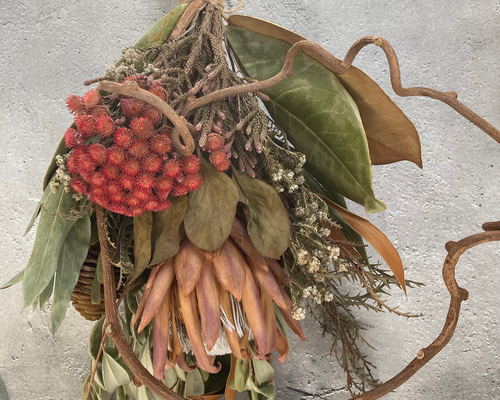 キングプロテアの赤いスワッグ:ドライフラワースワッグ スワッグ 花