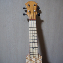 ウクレレ　ギター　エレキギター　アコースティックギター 2枚目の画像