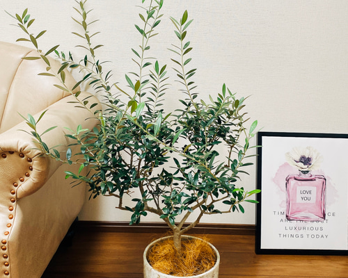 318a49845232ca1e31b6d41cc6ac8e