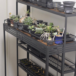 BOTANAIZ SHELF　植物棚 Ntype2 w1200mm ※受注製作 5枚目の画像