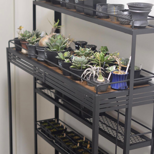 BOTANAIZ SHELF 植物棚 Ntype2 w1200mm ※受注製作 棚・シェルフ