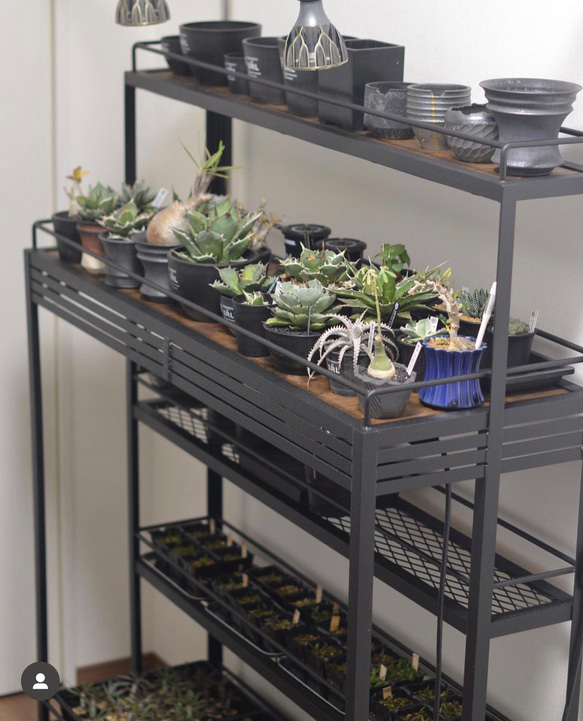 BOTANAIZ SHELF　植物棚 Ntype2 w1200mm ※受注製作 5枚目の画像