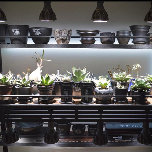 lizeworks Botanaiz Shelf 植物棚 BOTANAIZ SHELF 植物棚 w1500mm ※受注製作 棚・シェルフ・ラック