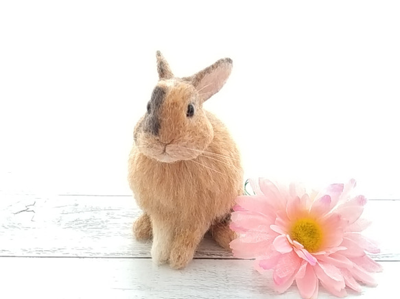 【k様専用】羊毛フェルトのうさぎさん 1枚目の画像