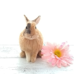 【k様専用】羊毛フェルトのうさぎさん 4枚目の画像