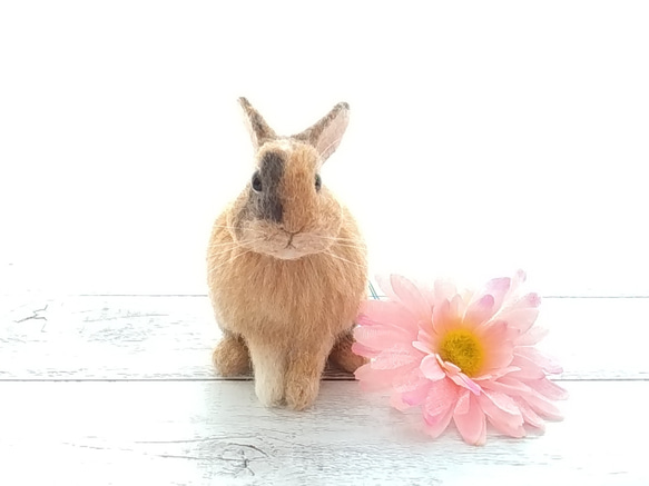 【k様専用】羊毛フェルトのうさぎさん 4枚目の画像