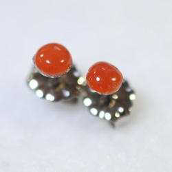 (one-of-a-kind item, outlet) 意大利紅珊瑚耳釘（4mm，鈦柱） 第3張的照片