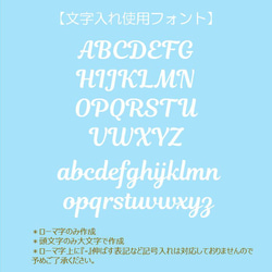 名入れ対応　選べる　ベビー　8点　ハワイアン　ギフトセット　（貝ヒトデ＆海柄スタイ） ／出産祝い　おむつケーキ 11枚目の画像