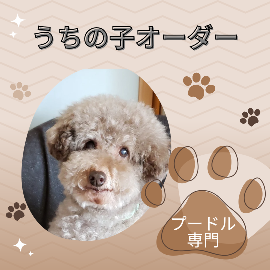 うちの子オーダー♡トイプードルとプリザーブドフラワーアレンジ