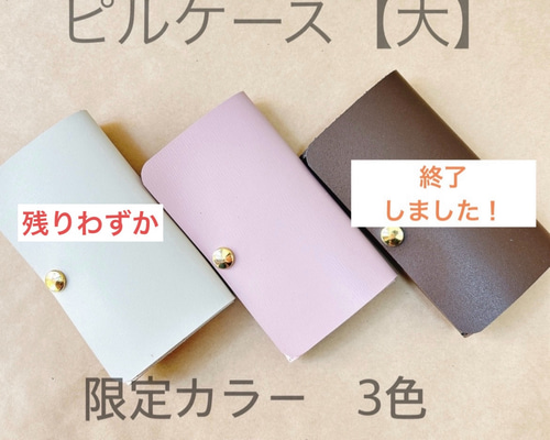 ピルケース【専用出品】 低容量ピル 専用ケース 限定カラー ルナベルLD・フリウェルLD