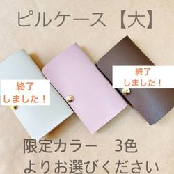 ✿RUKURUKU様·専用✿ハンドメイド　ピルケース 低容量ピル 専用ケース 限定カラー ルナベルLD・フリウェルLD