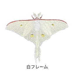 【昆虫　ワッペン】Moth（蛾）シリーズ　オナガミズアオ 1枚目の画像
