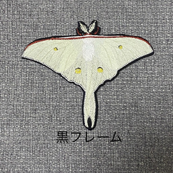 【昆虫　ワッペン】Moth（蛾）シリーズ　オナガミズアオ 2枚目の画像