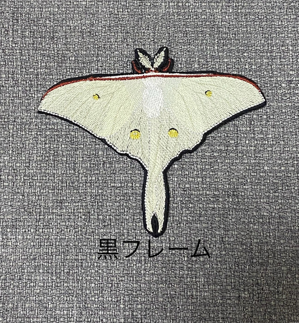 【昆虫　ワッペン】Moth（蛾）シリーズ　オナガミズアオ 2枚目の画像
