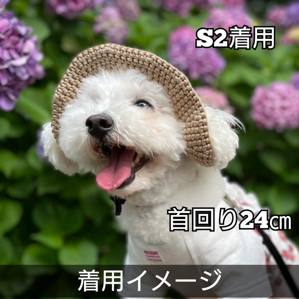 犬の帽子 カンカン帽☆フレッシュ 9枚目の画像