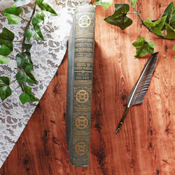 アンティーク　イギリスbook ボタニカル　洋書 洋書 古書 アンティーク イギリスの植物図鑑 美しいカラー図版48