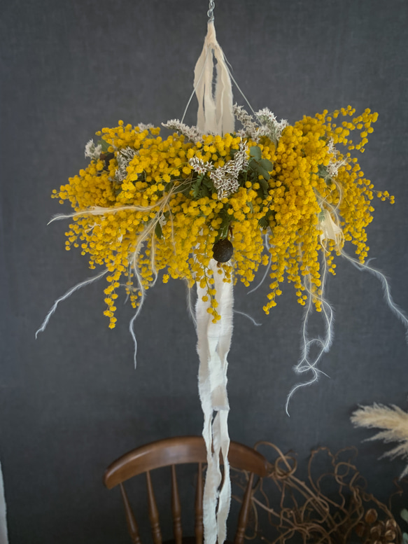 ミモザフライングリース　シュガーパインコーン　ホワイト ミモザフライングリース シュガーパインコーン ホワイト フライング