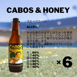 【福岡県/クラフトビール】かぼす＆ハニー 6本セット 2枚目の画像