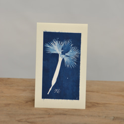 植物のシルエット。植物のシアノタイプ グリーティング カード 1枚目の画像