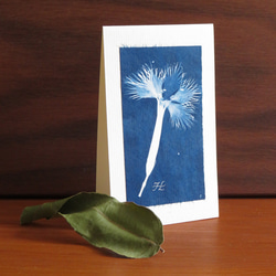 植物のシルエット。植物のシアノタイプ グリーティング カード 3枚目の画像