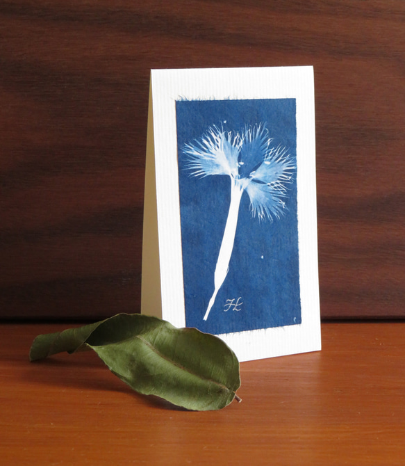 植物のシルエット。植物のシアノタイプ グリーティング カード 3枚目の画像