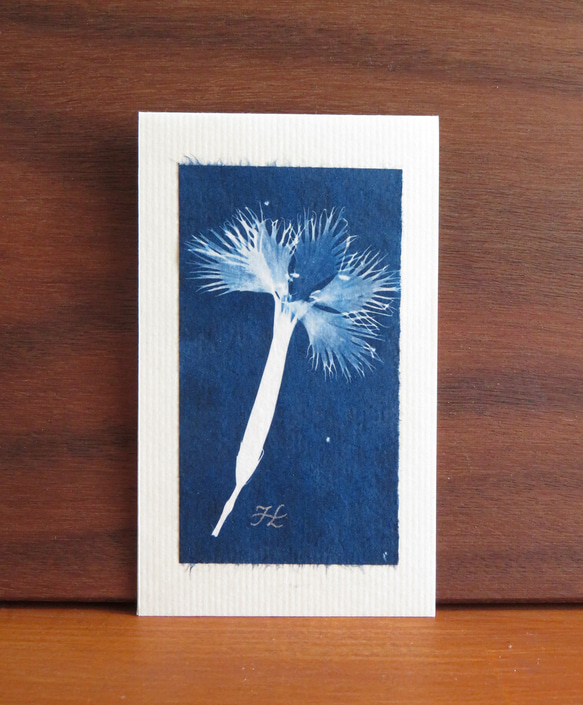 植物のシルエット。植物のシアノタイプ グリーティング カード 2枚目の画像