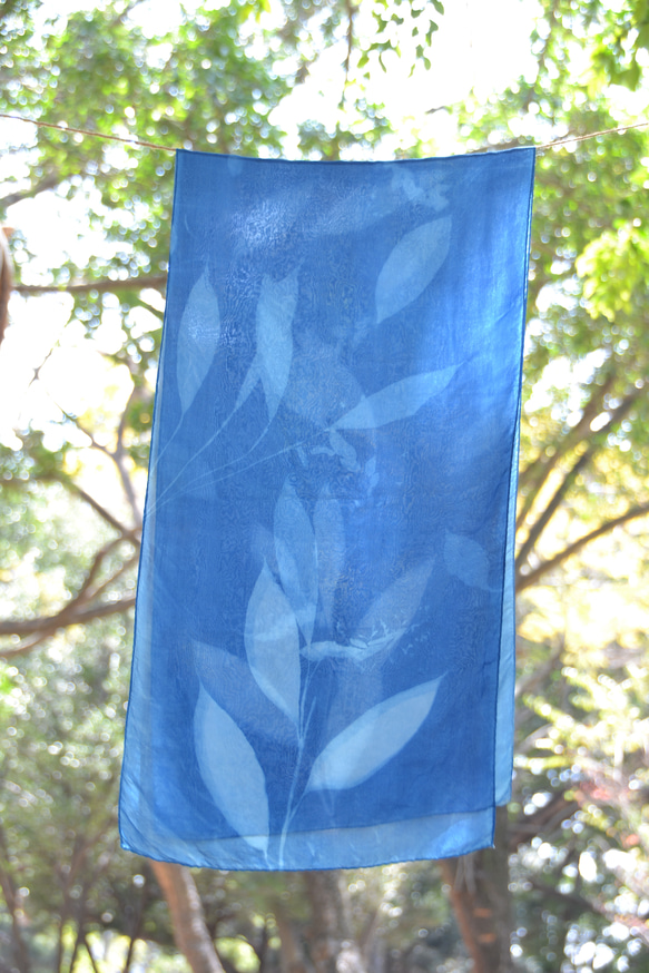 藍曬絲巾 - 飛舞蝴蝶薑 Botanic Cyanotype Silk Scarf - Butterfly Ginger 第3張的照片