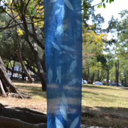 シアノタイプ シルク スカーフ - バタフライ ジンジャー ボタニック シアノタイプ シルク スカーフ - バタフライ ジンジャ 4枚目の画像
