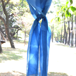 藍曬絲巾 - 飛舞蝴蝶薑 Botanic Cyanotype Silk Scarf - Butterfly Ginger 第5張的照片