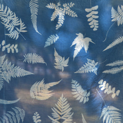 藍曬絲棉方巾 - 蕨美 Botanic Cyanotype Square Scarf - Ferns 第3張的照片