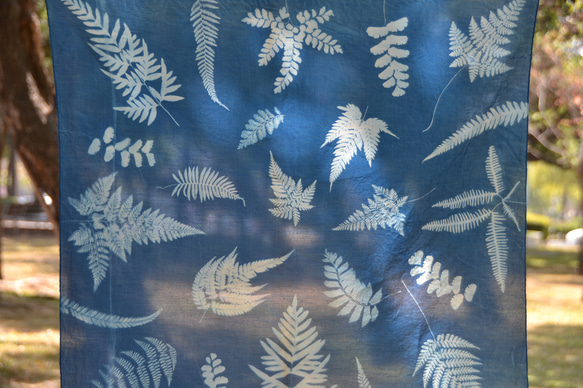藍曬絲棉方巾 - 蕨美 Botanic Cyanotype Square Scarf - Ferns 第3張的照片