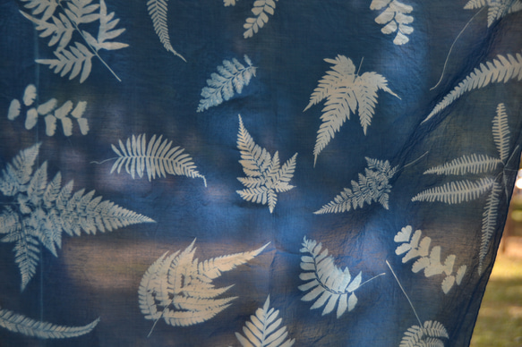 藍曬絲棉方巾 - 蕨美 Botanic Cyanotype Square Scarf - Ferns 第5張的照片