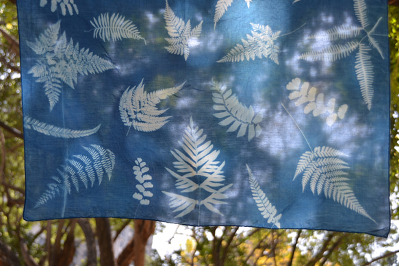 藍曬絲棉方巾 - 蕨美 Botanic Cyanotype Square Scarf - Ferns 第4張的照片