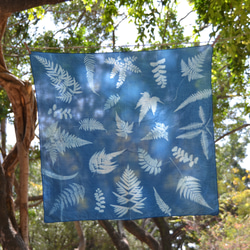 藍曬絲棉方巾 - 蕨美 Botanic Cyanotype Square Scarf - Ferns 第2張的照片