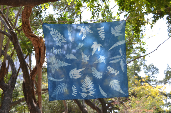 藍曬絲棉方巾 - 蕨美 Botanic Cyanotype Square Scarf - Ferns 第2張的照片