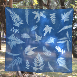 藍曬絲棉方巾 - 蕨美 Botanic Cyanotype Square Scarf - Ferns 第1張的照片