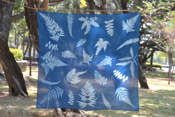 藍曬絲棉方巾 - 蕨美 Botanic Cyanotype Square Scarf - Ferns 第1張的照片